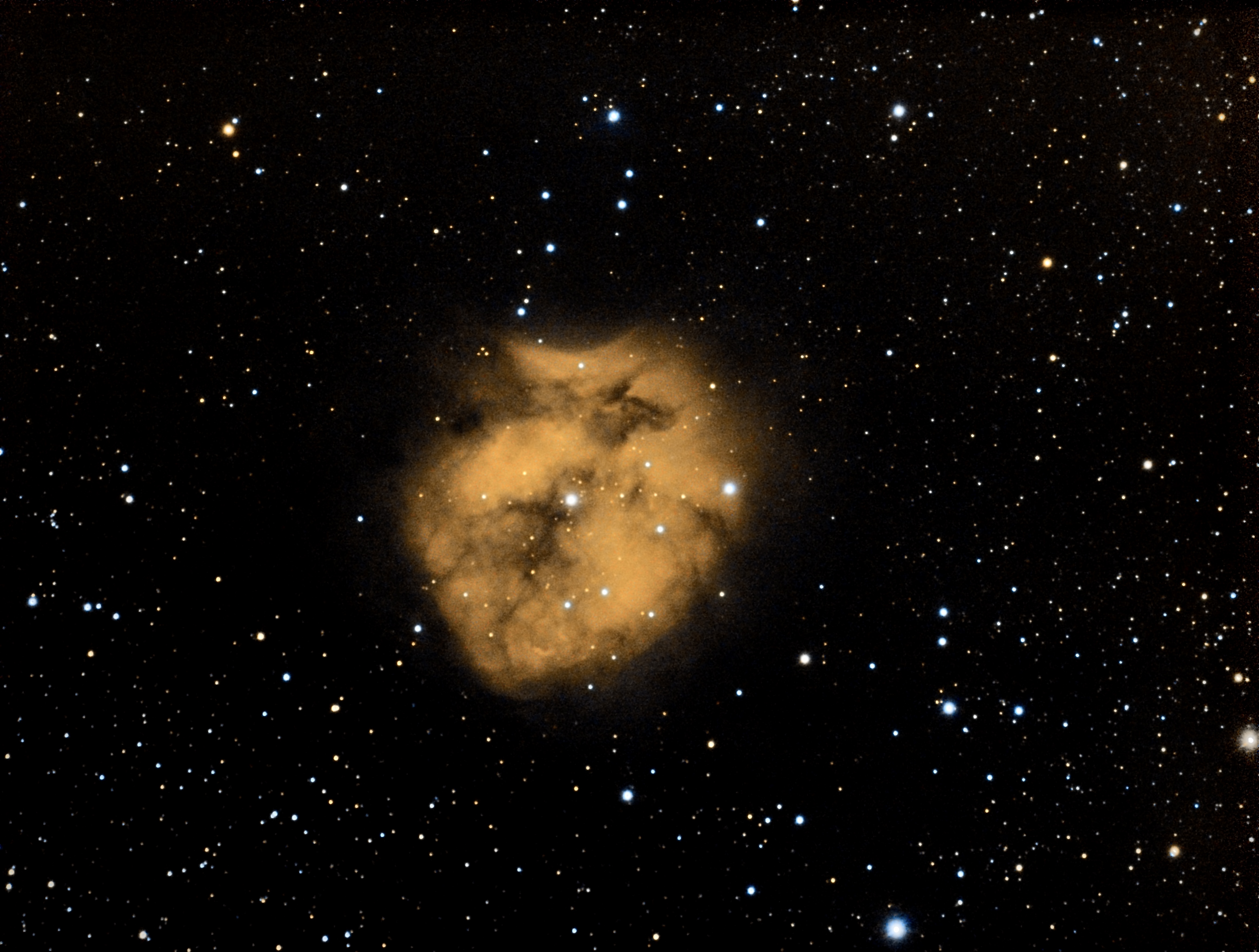 Cocoon Nebular