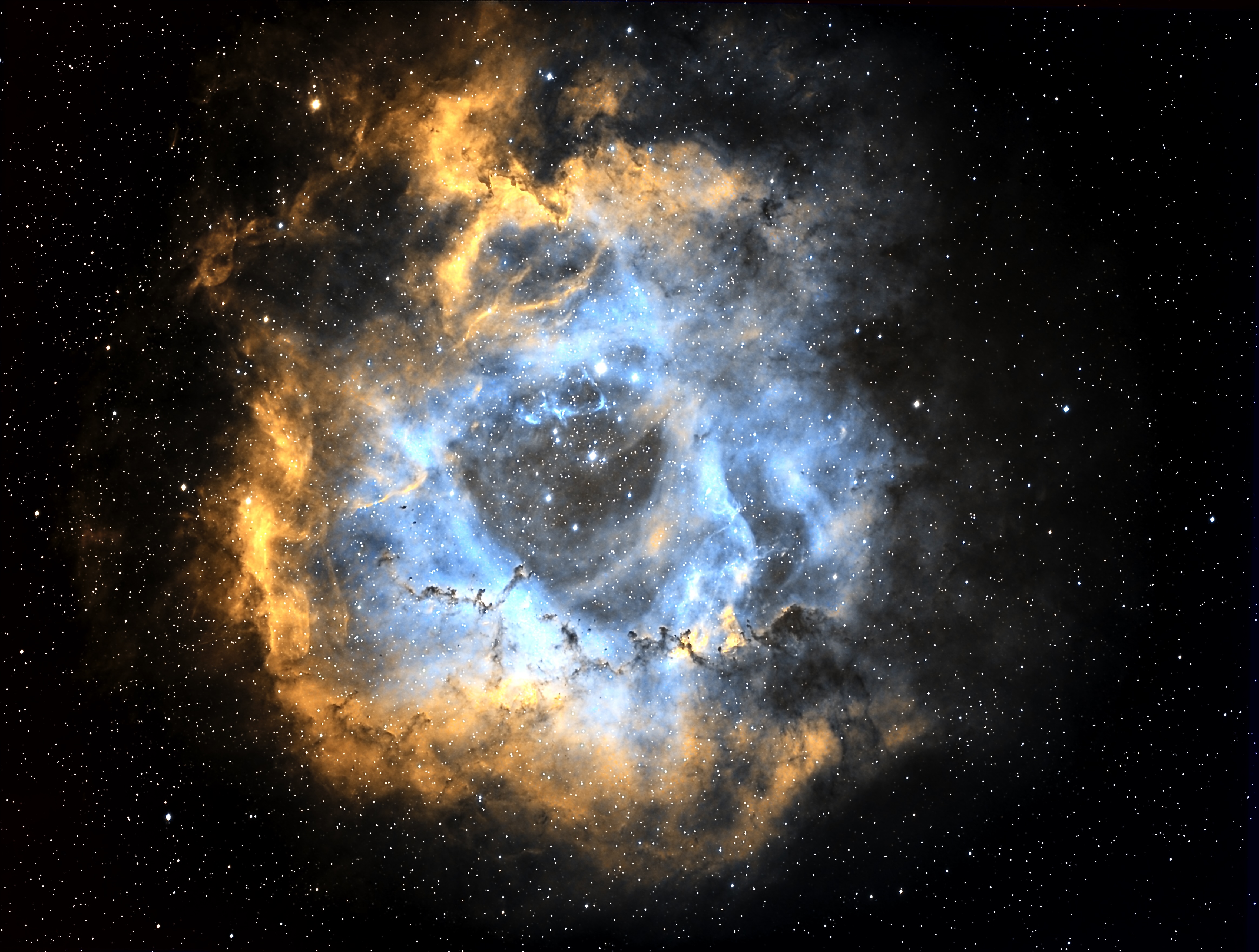 Rosette Nebula