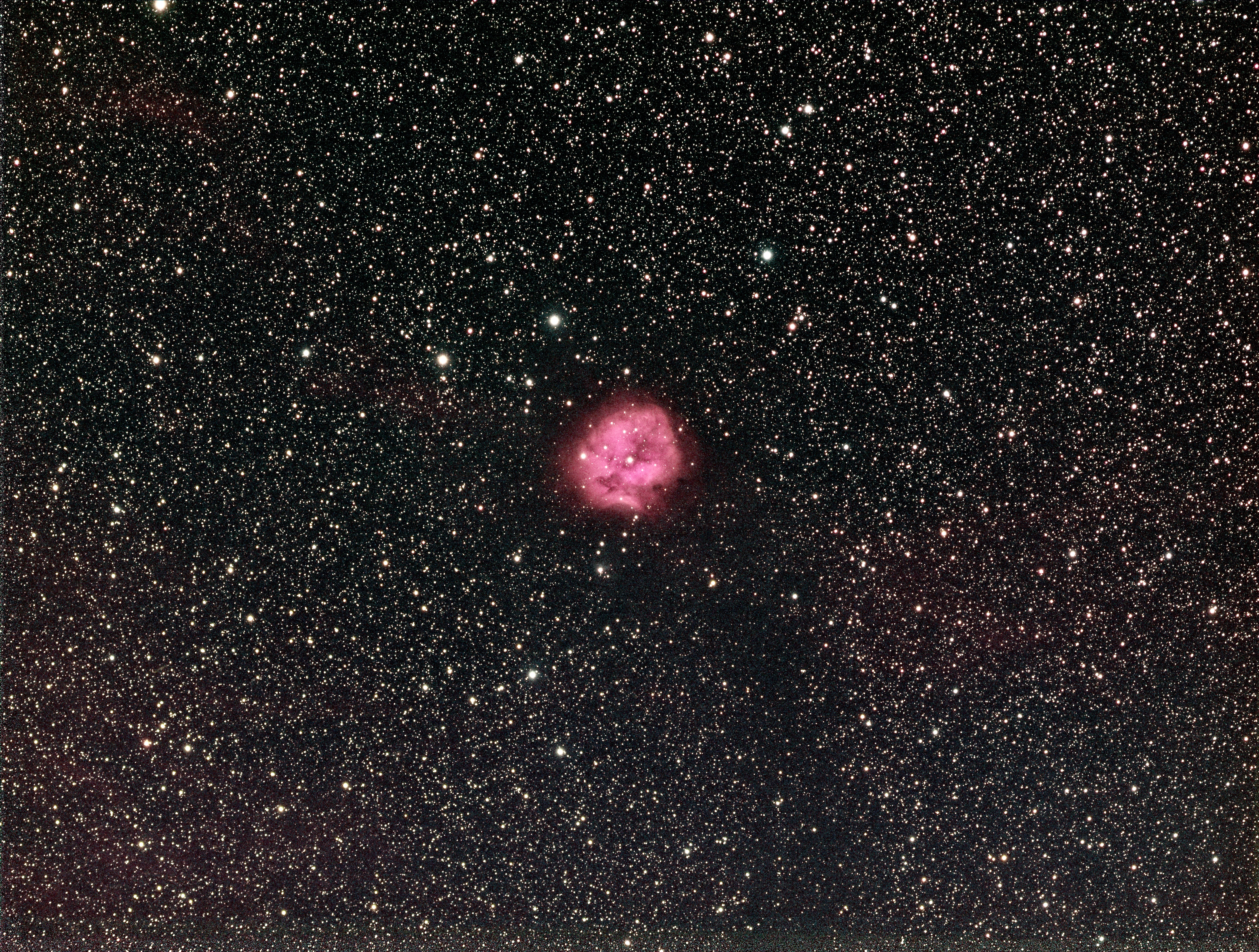 Cocoon Nebular