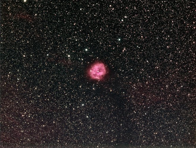 Cocoon Nebular