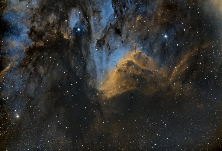 Pelican Nebula